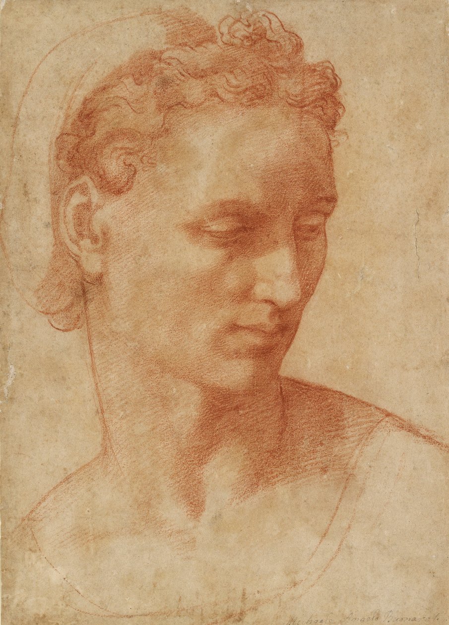 Cabeza de una mujer, principios del siglo XVI de Baccio Bandinelli