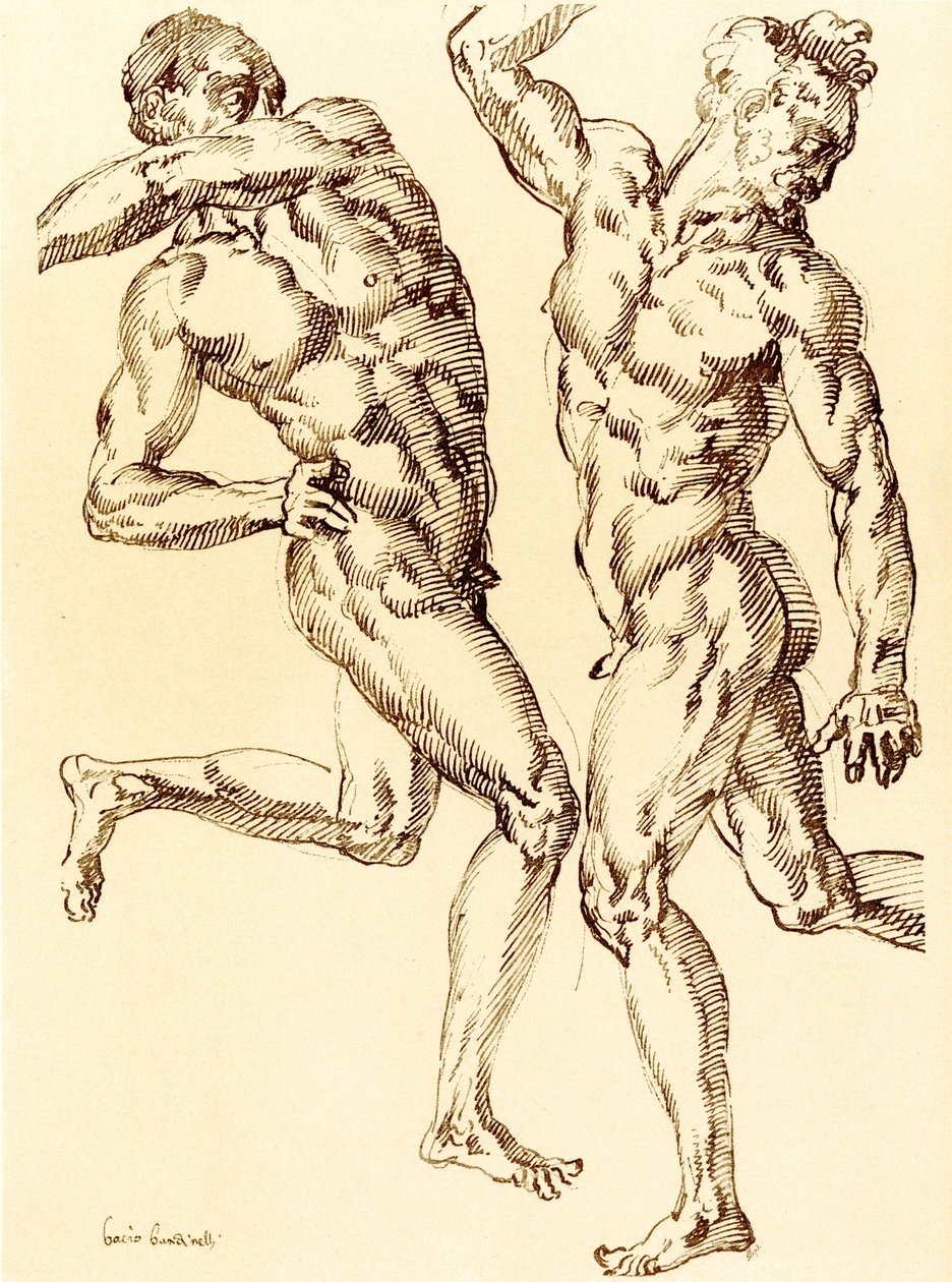 Dos estudios de desnudos masculinos de Baccio Bandinelli