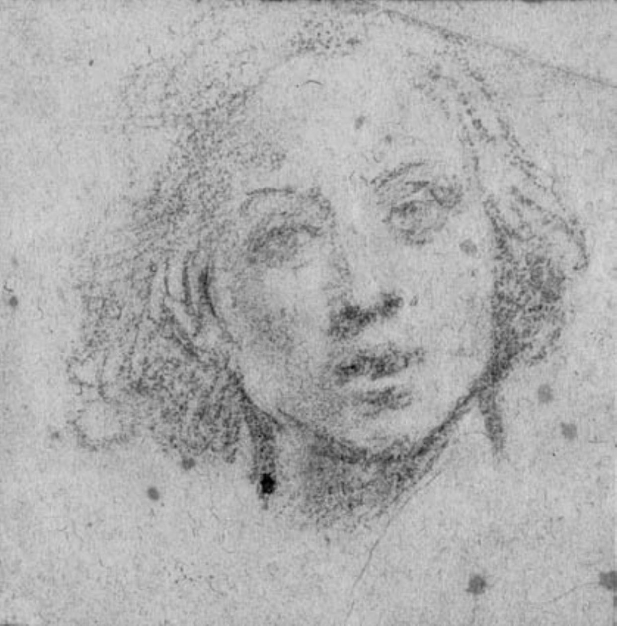 Cabeza de un joven de Baldassare Franceschini