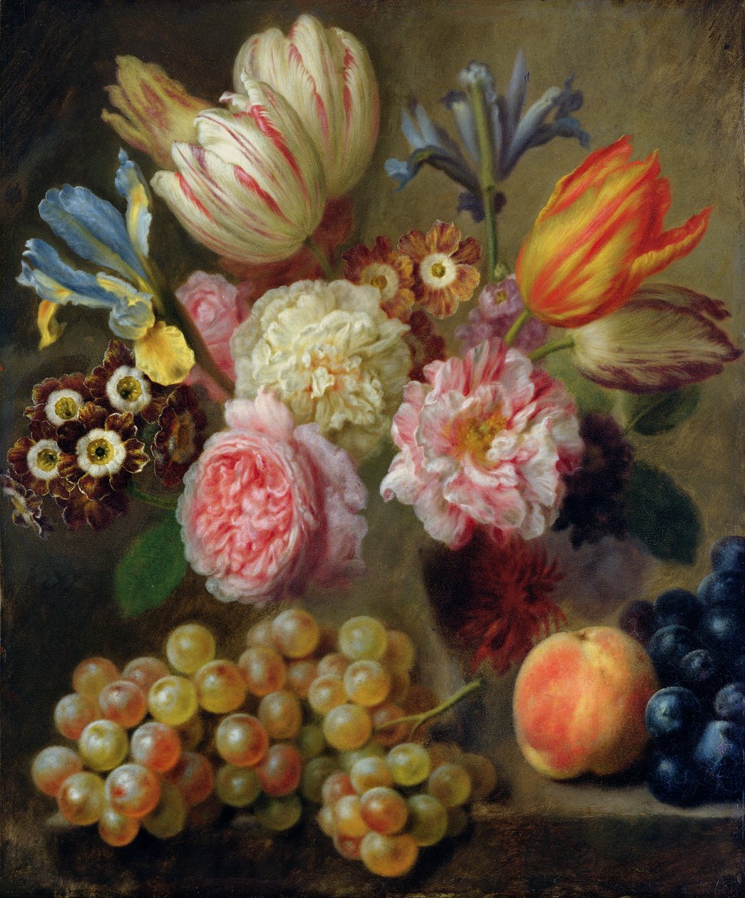 Estudio de Flores de Balthasar Denner
