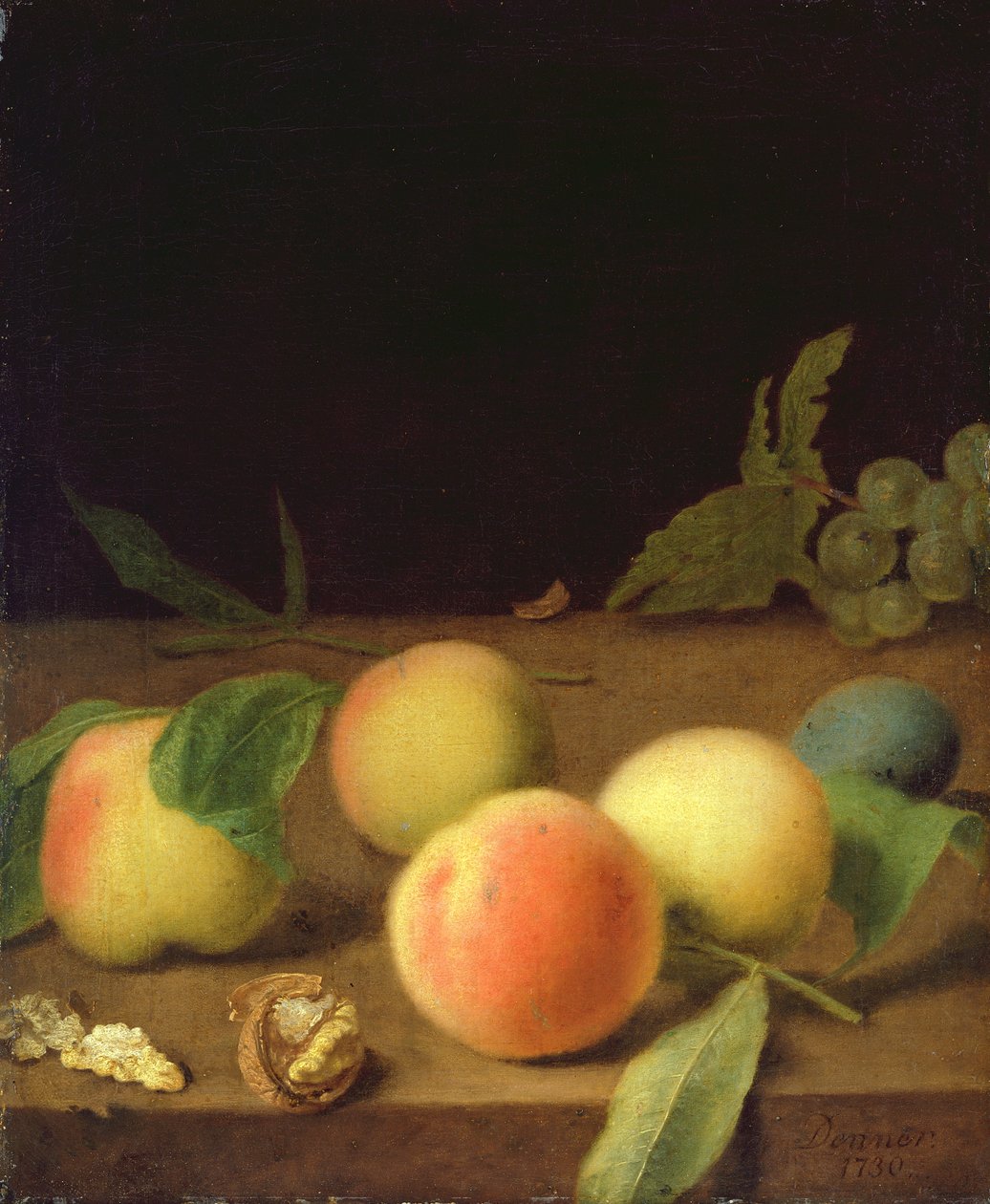 Bodegón de frutas, 1730 de Balthasar Denner
