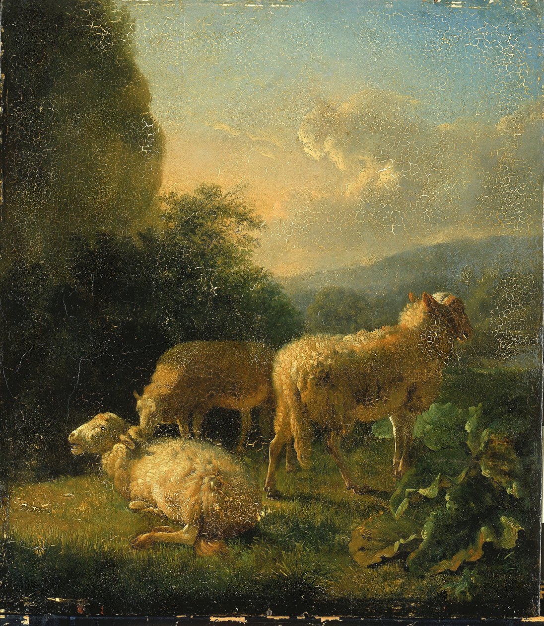 Ovejas de Balthasar Paul Ommeganck