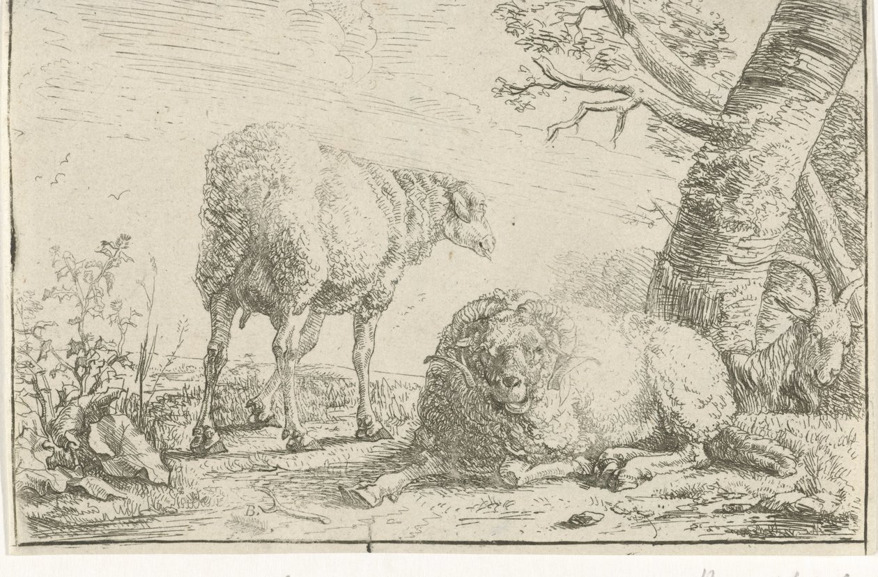 Dos ovejas y una cabra de Barend Graat