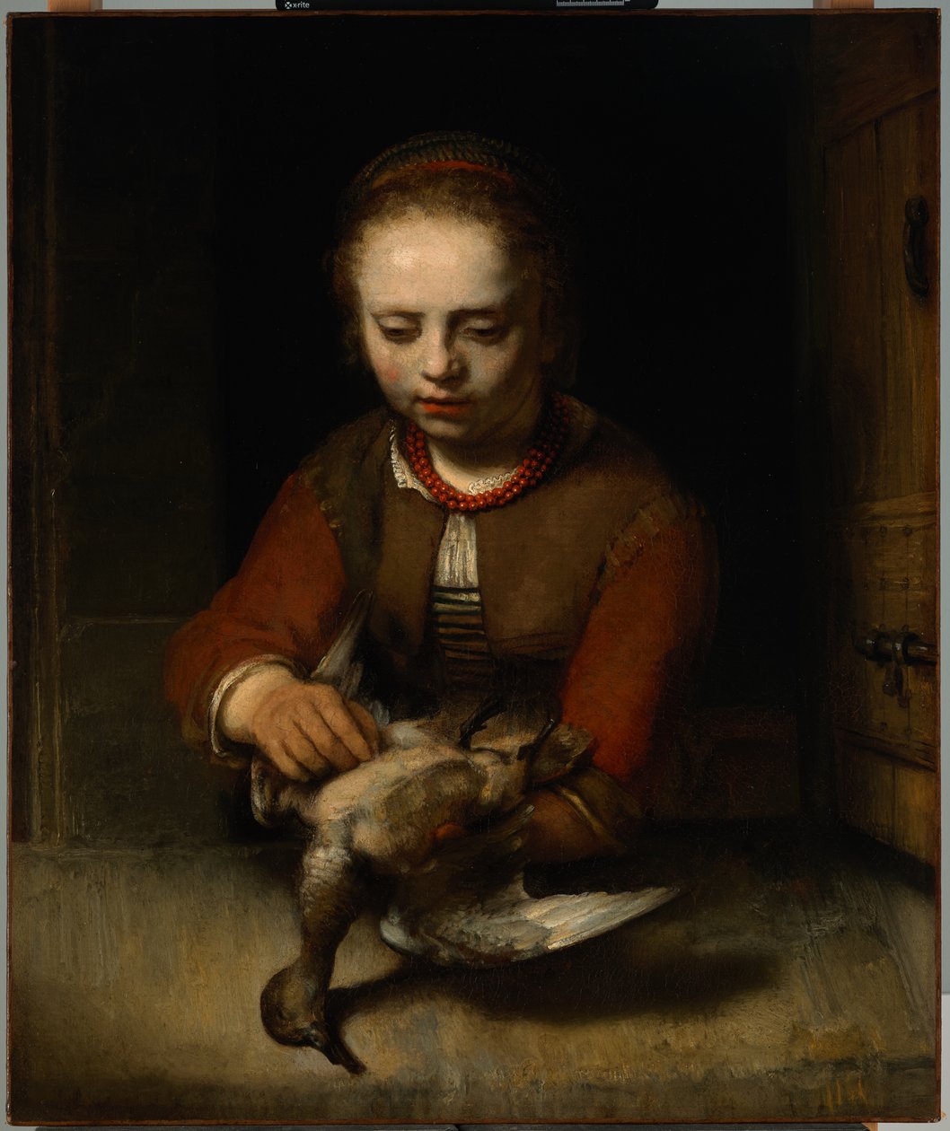 Niña desplumando un pato de Barent Fabritius