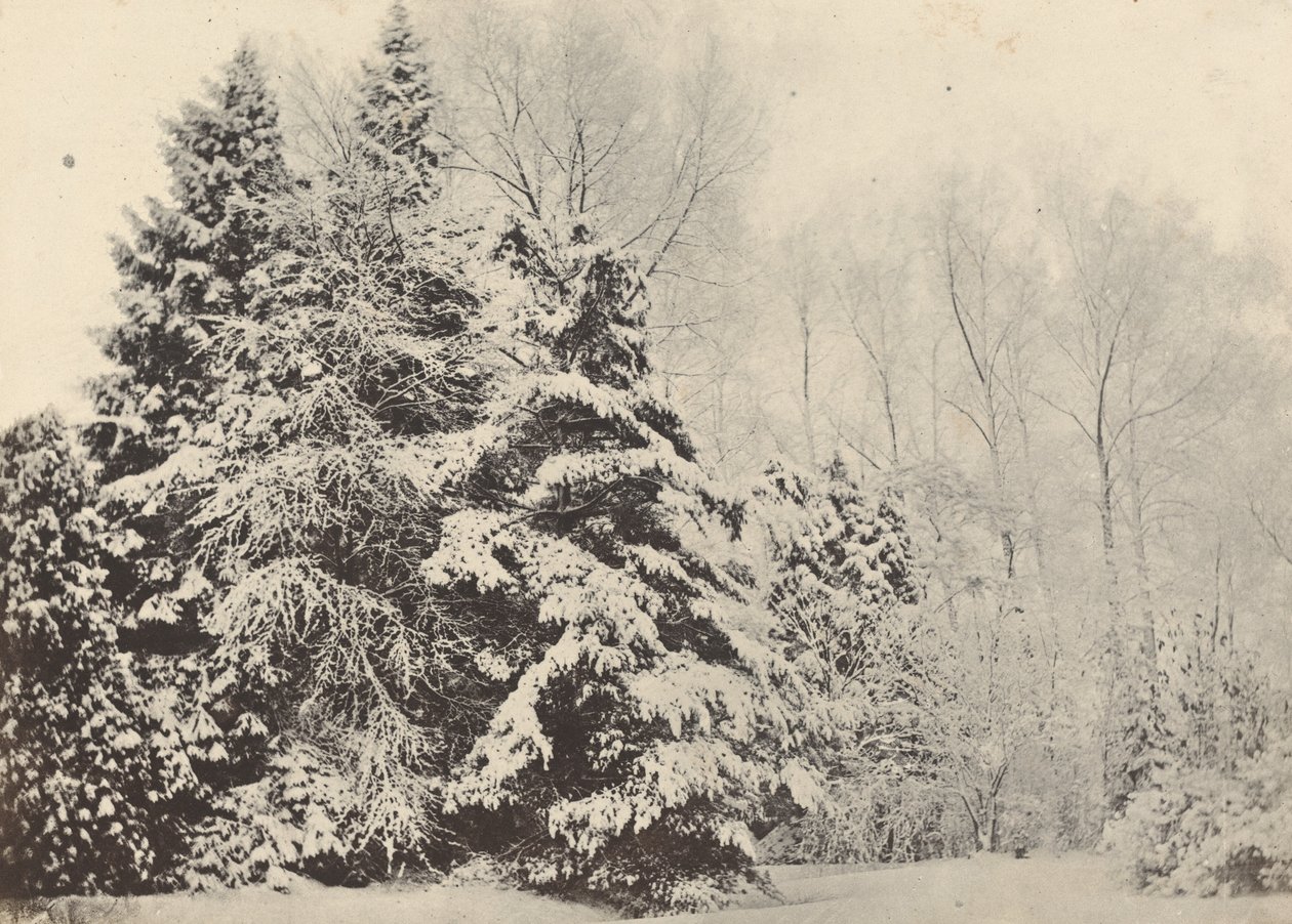 Paisaje de Abetos bajo la Nieve de Baron A. Fays
