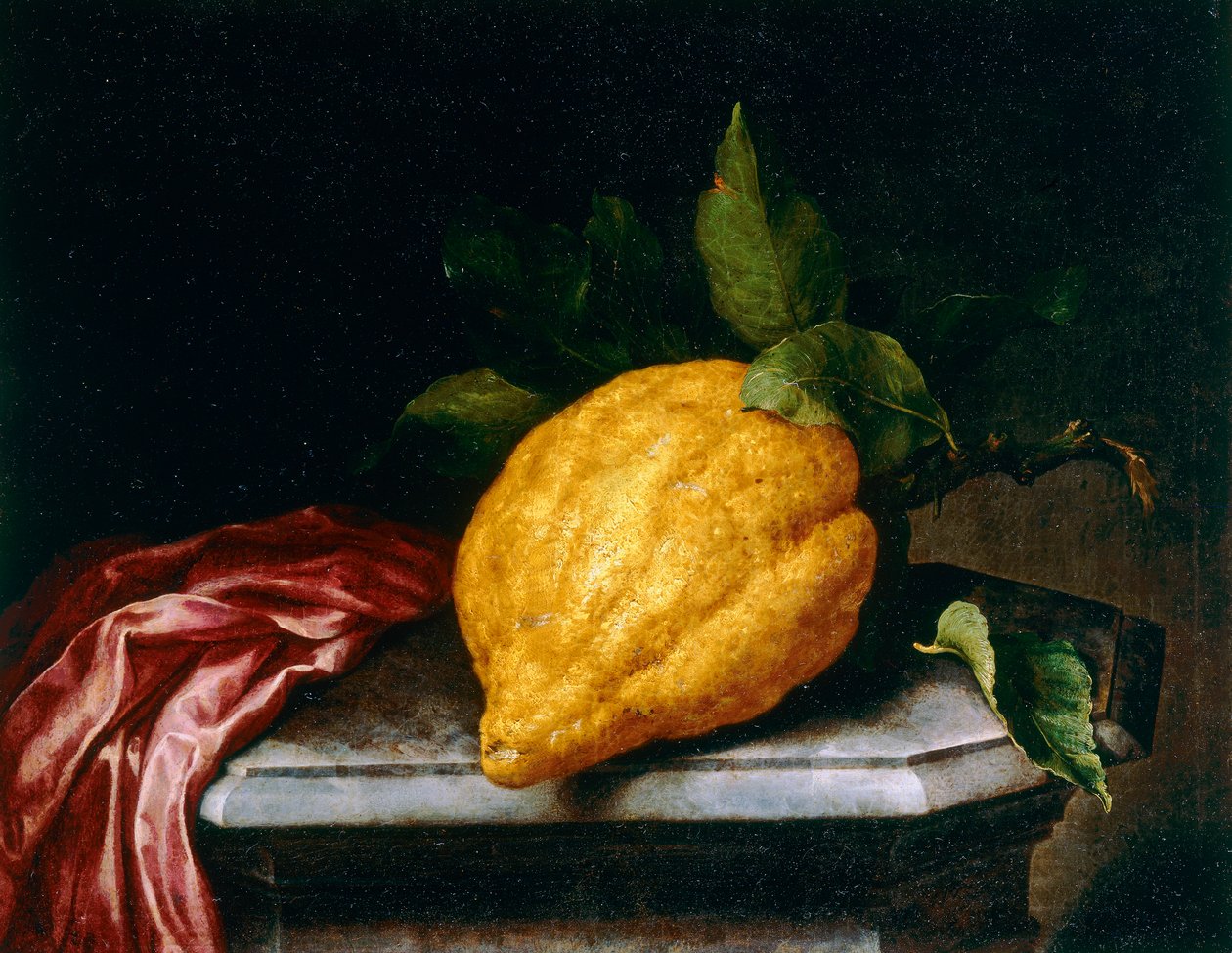 Limón de Bartolomeo Bimbi