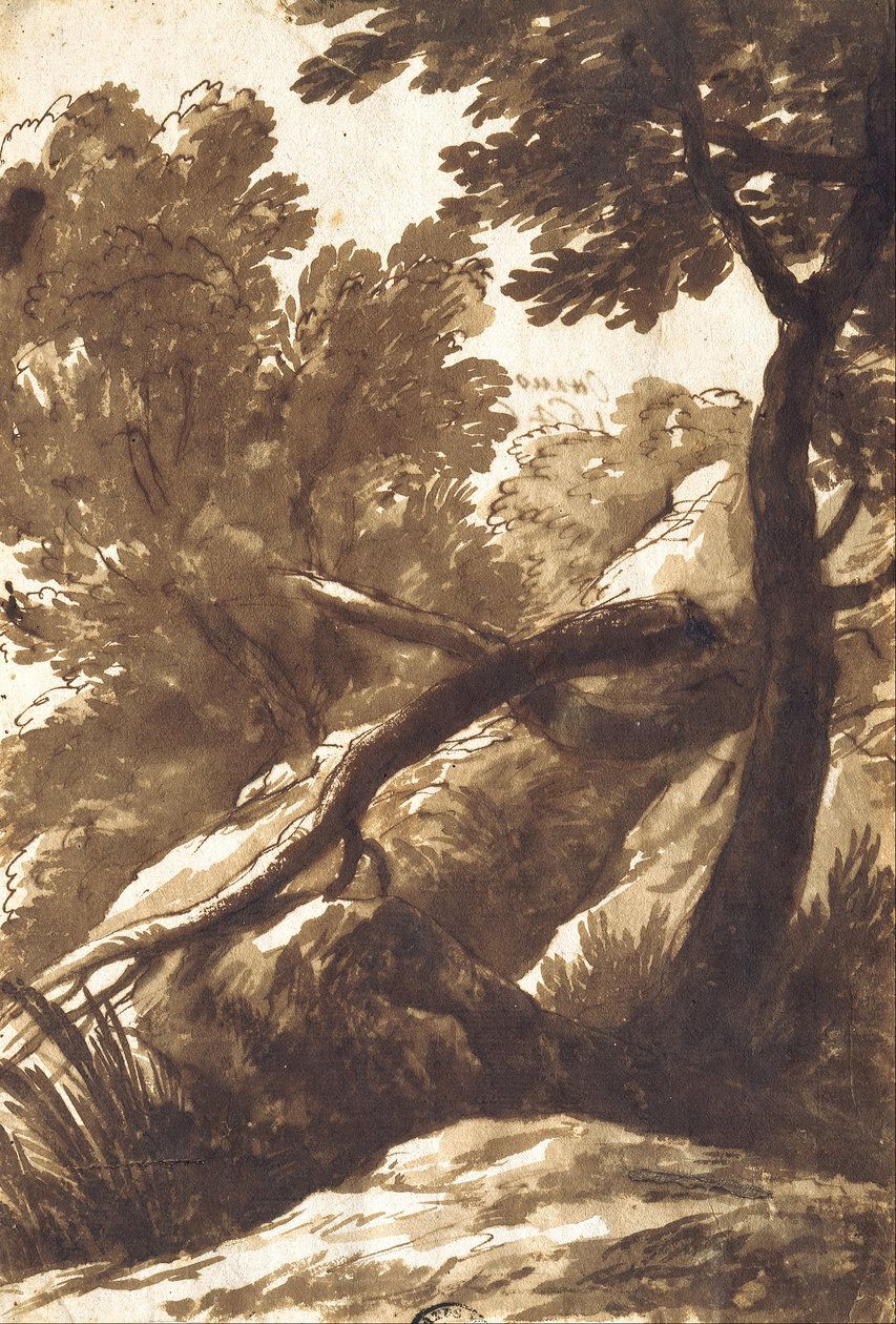 Paisaje boscoso de Bartolomeo Torregiani