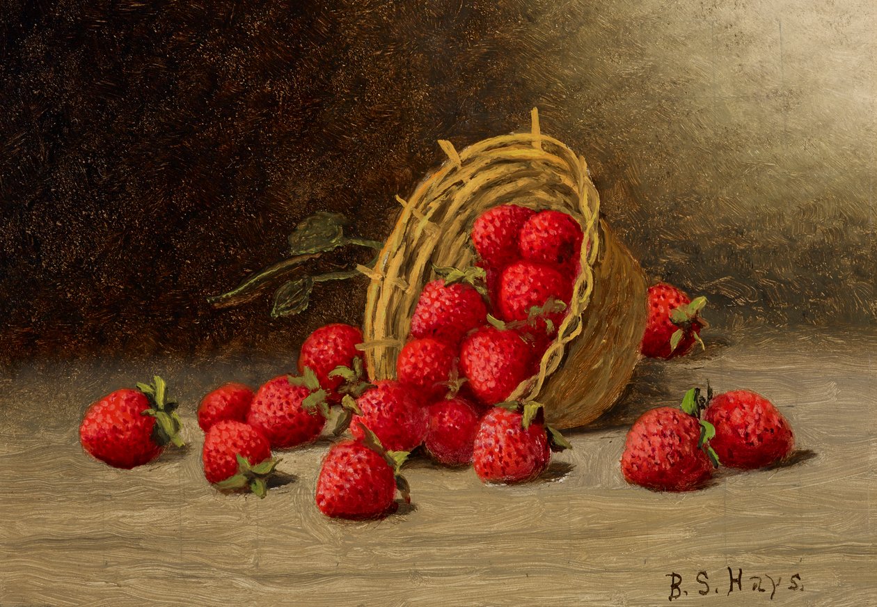 Fresas de Barton S. Hays