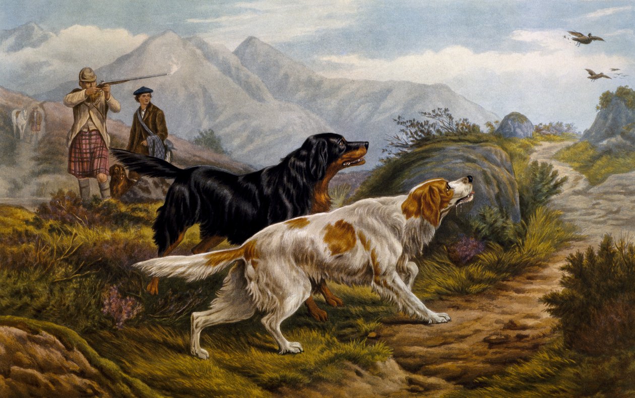 Caza de urogallos de Basil Bradley