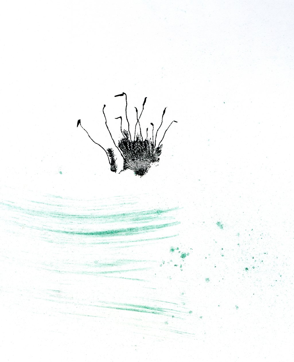 Musgo {Polvo de Hadas} de Bella Larsson