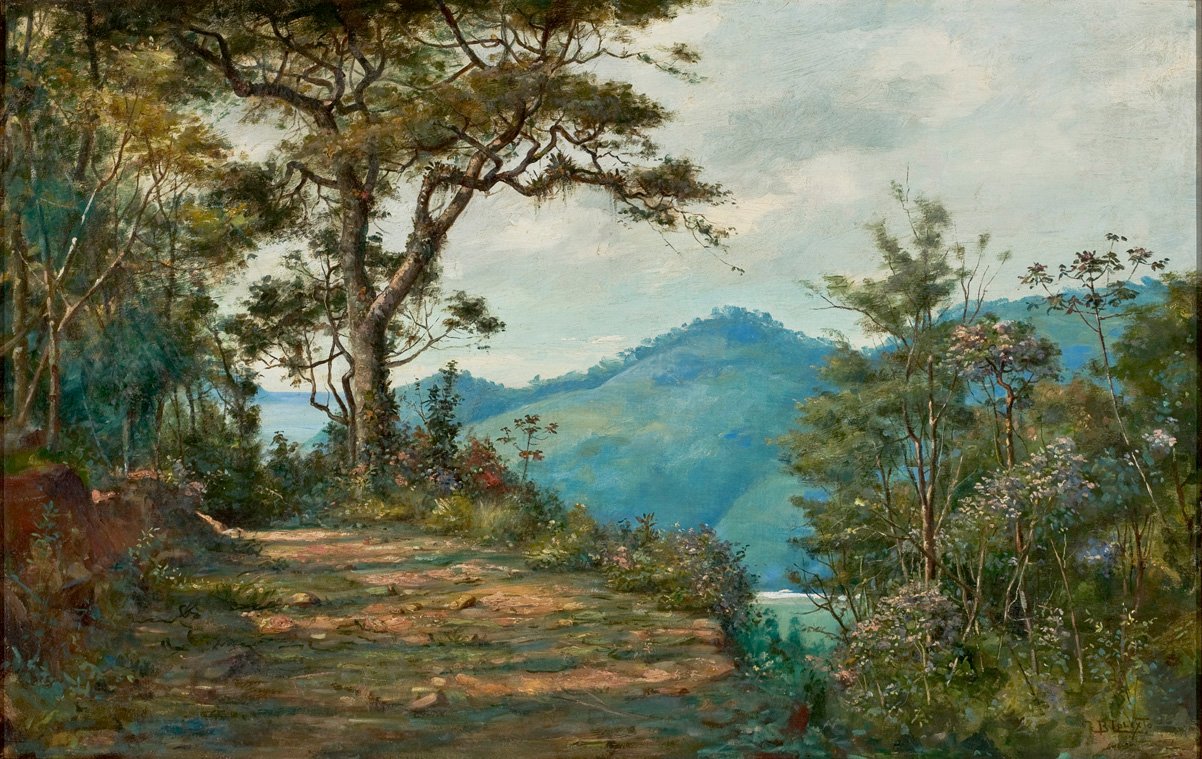 Paisaje de la serie Mata de Benedito Calixto