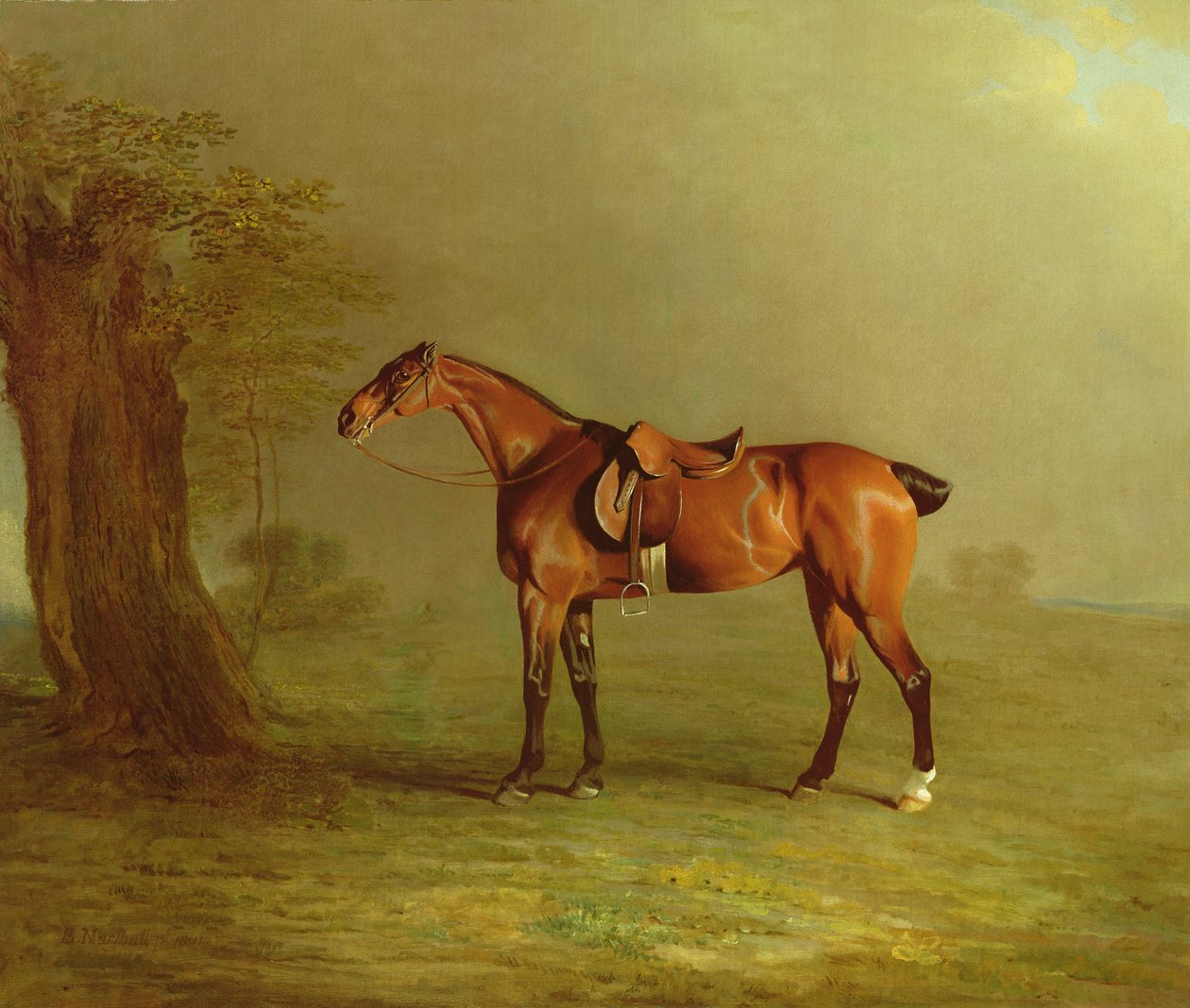 Caballo de carreras de Benjamin Marshall