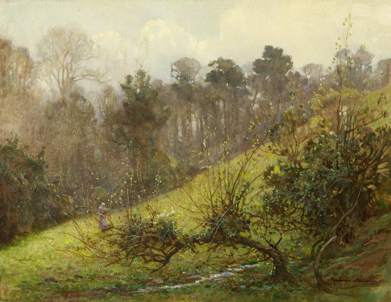 Gansos y gansitos de Benjamin Haughton