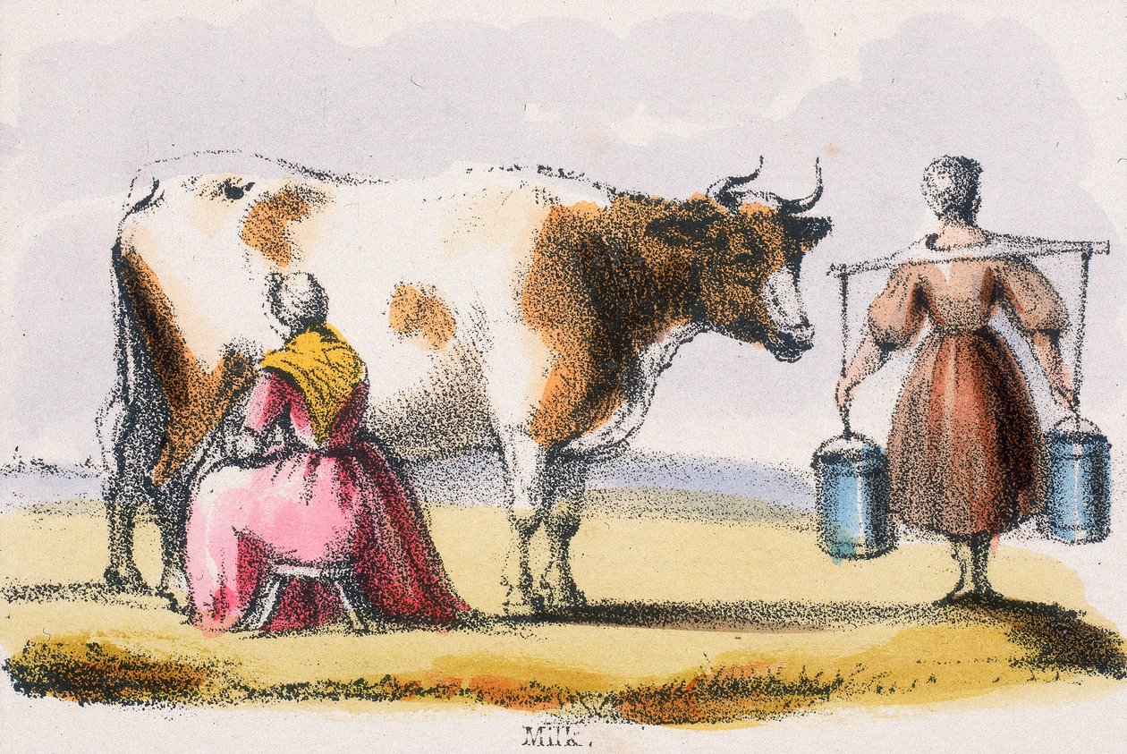 Leche, c. 1845 de Benjamin Waterhouse Hawkins