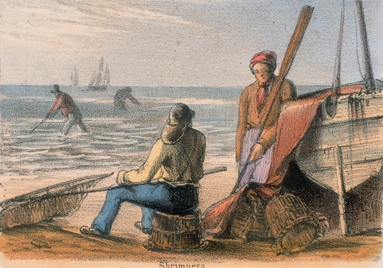 Camarones, c1845 de Benjamin Waterhouse Hawkins