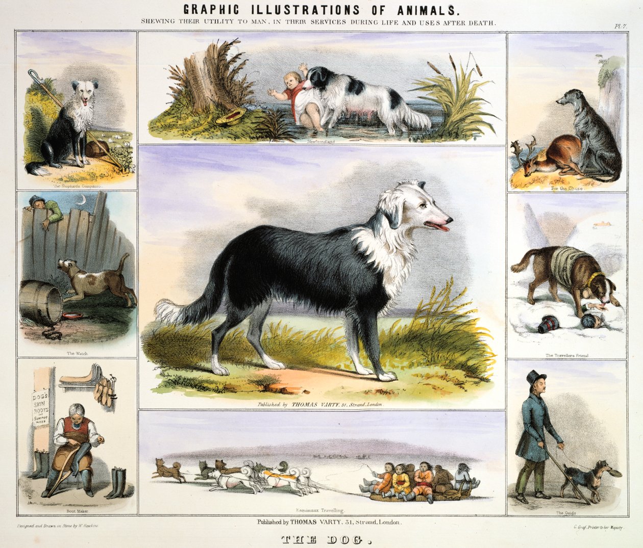 El perro, c. 1850 de Benjamin Waterhouse Hawkins