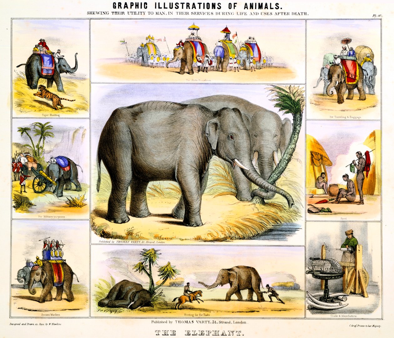 El elefante, c. 1850 de Benjamin Waterhouse Hawkins