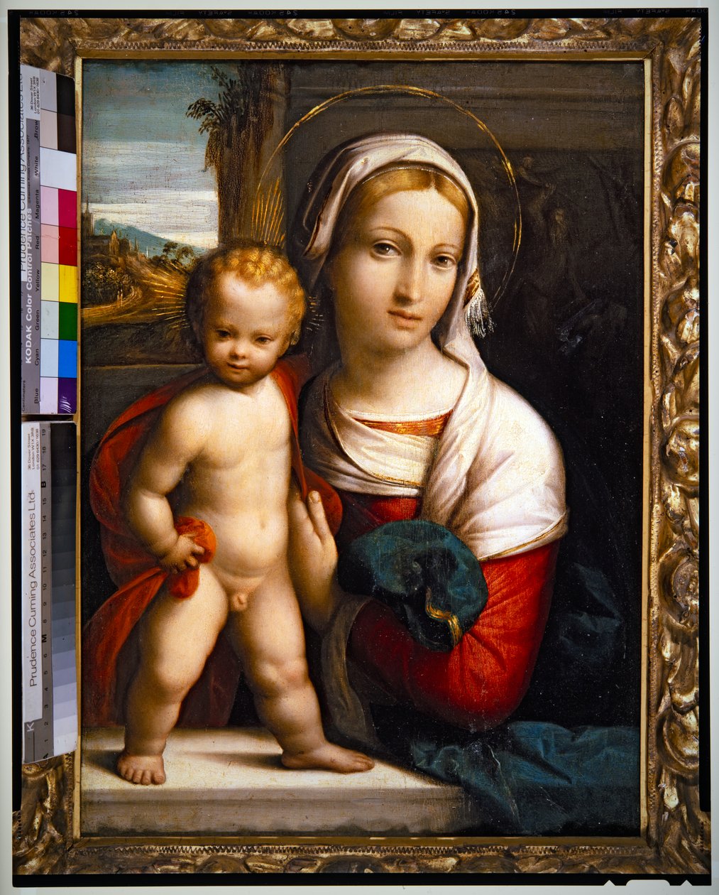 Virgen con el Niño (panel) de Benvenuto Tisi da Garofalo