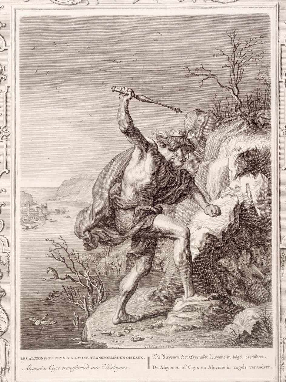 Alcione y Ceix transformados en aves, 1730 de Bernard Picart