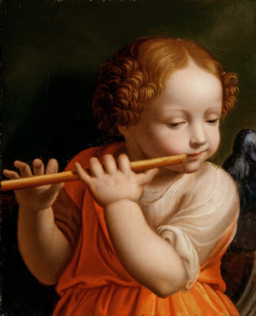 Ángel niño tocando una flauta, c.1500 de Bernardino Luini
