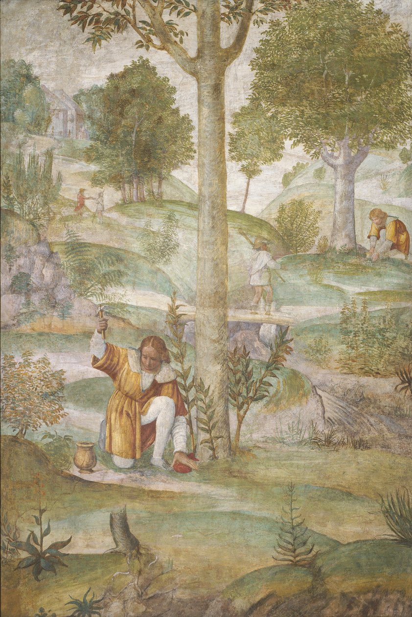 Céfalo Escondiendo las Joyas de Bernardino Luini