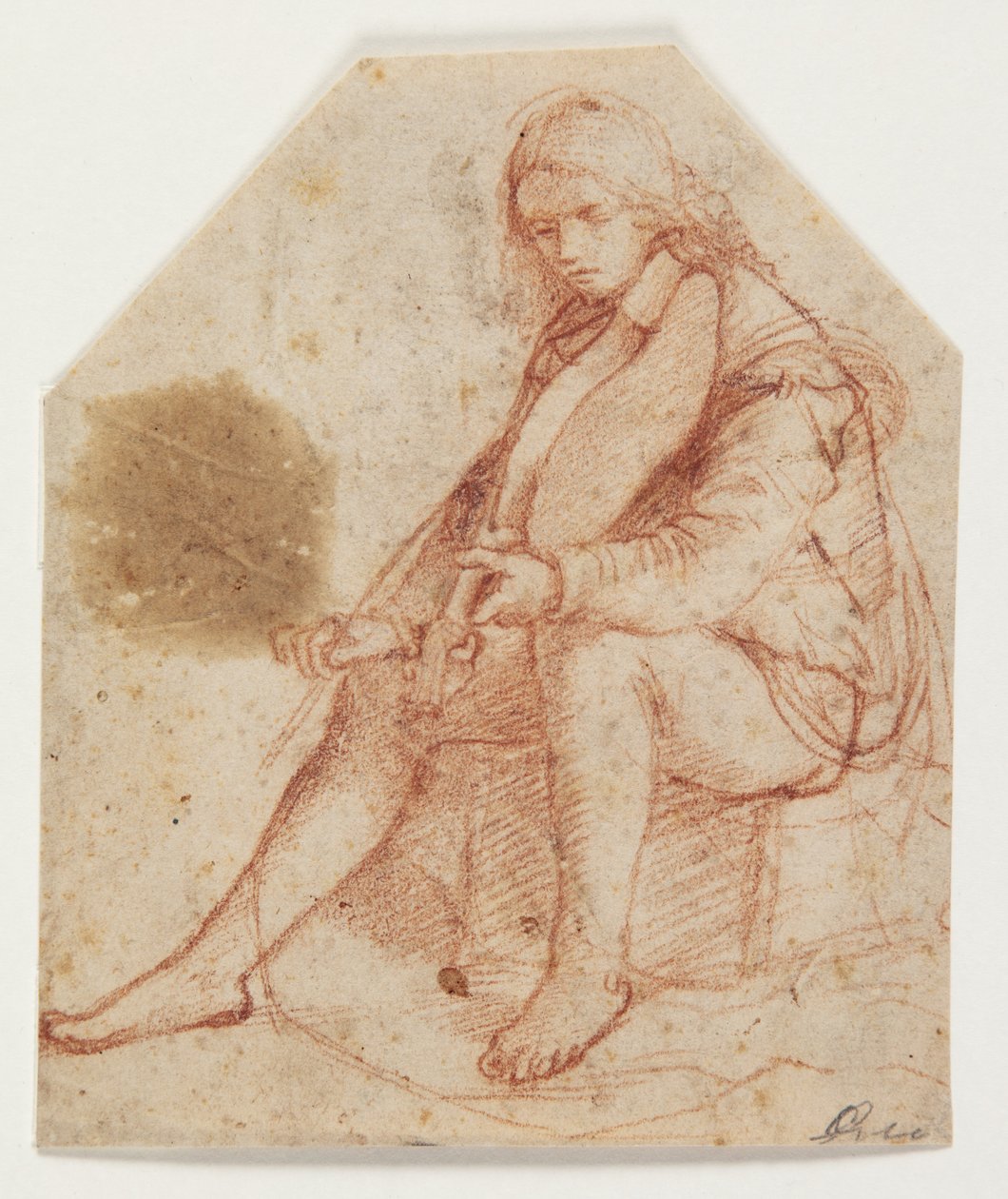 Joven sentado con viola de Bernardino Luini