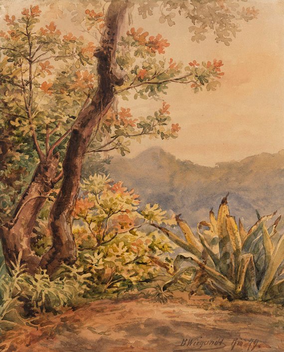 Paisaje brasileño con agave de Bernhard Wiegandt
