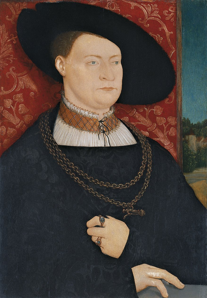 Retrato de un hombre de Bernhard Strigel