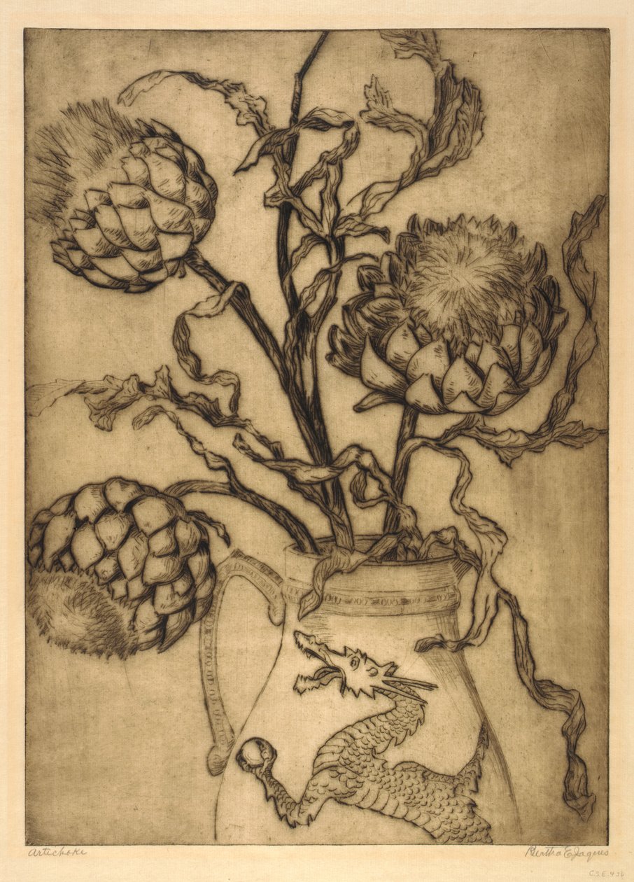 Alcachofa de Bertha E. Jaques