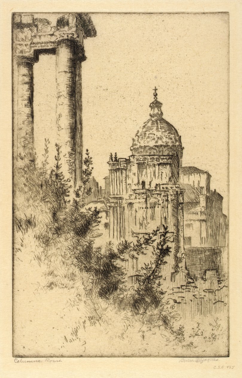 Columnas, Foro Romano de Bertha E. Jaques