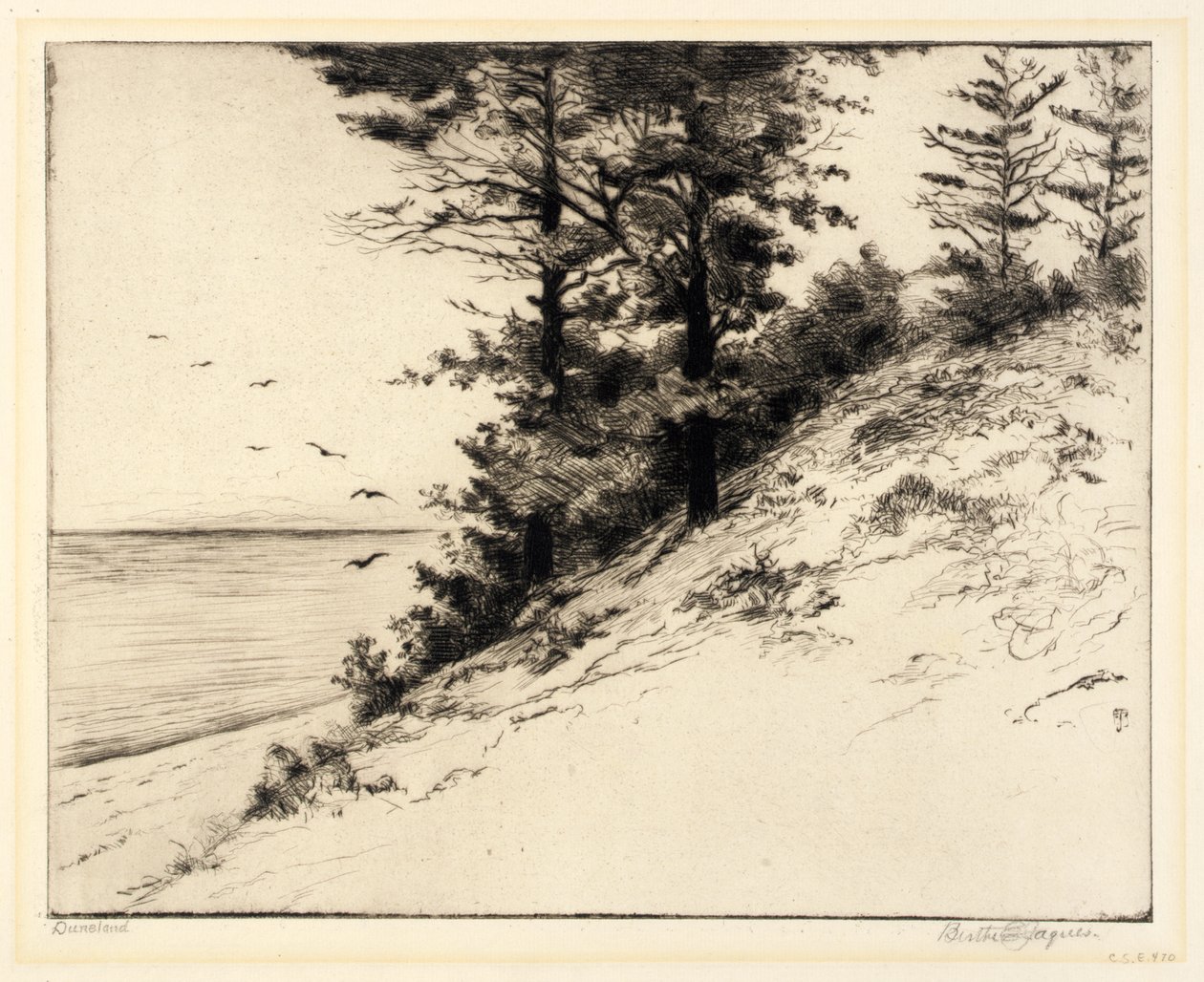 Duneland de Bertha E. Jaques