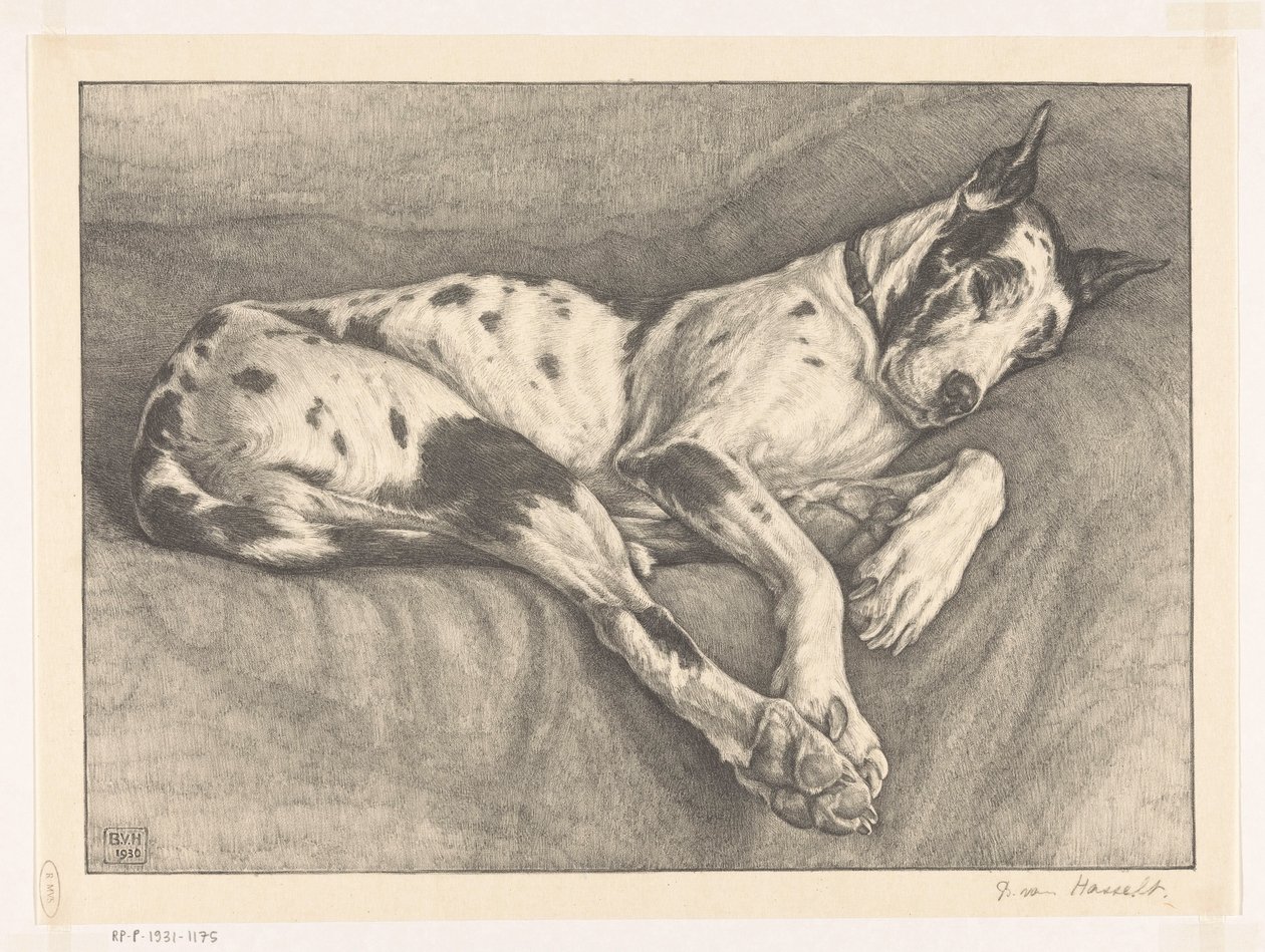 Perro dormido de Bertha van Hasselt (signed by artist)
