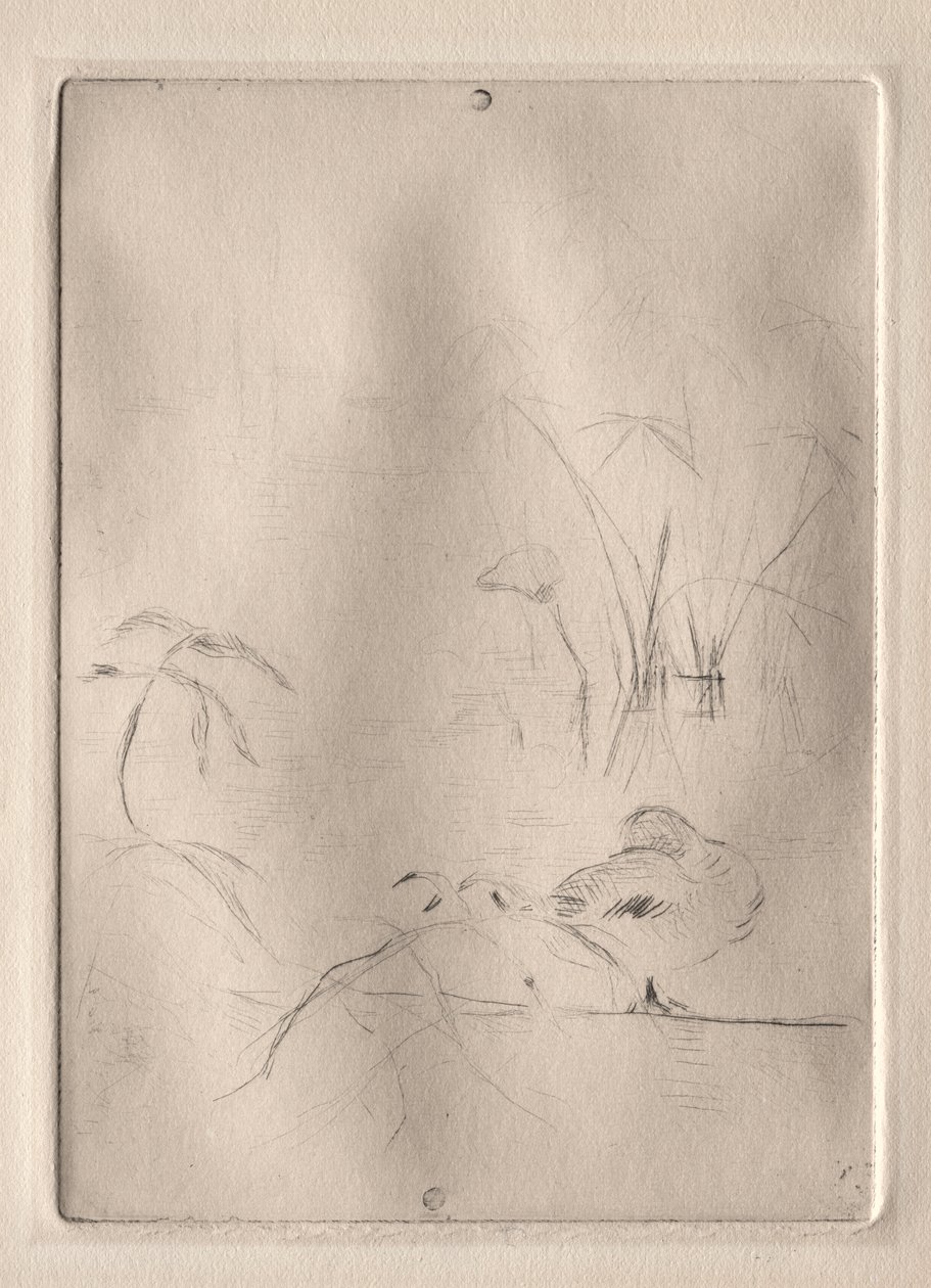 The Duck de Berthe Morisot