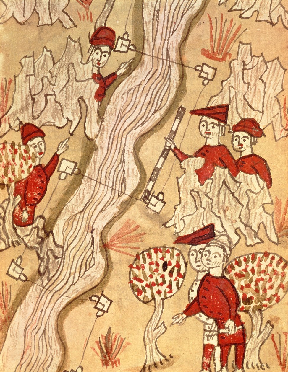 Ms 327 fol.293v Encuesta de un río, de 