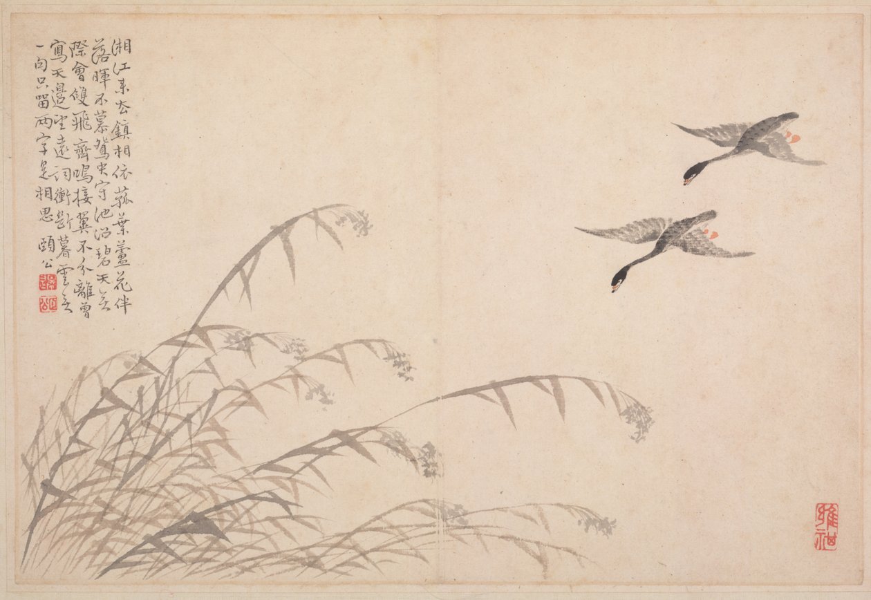 Album of Calligraphy and Paintings de Bian Shoumin
