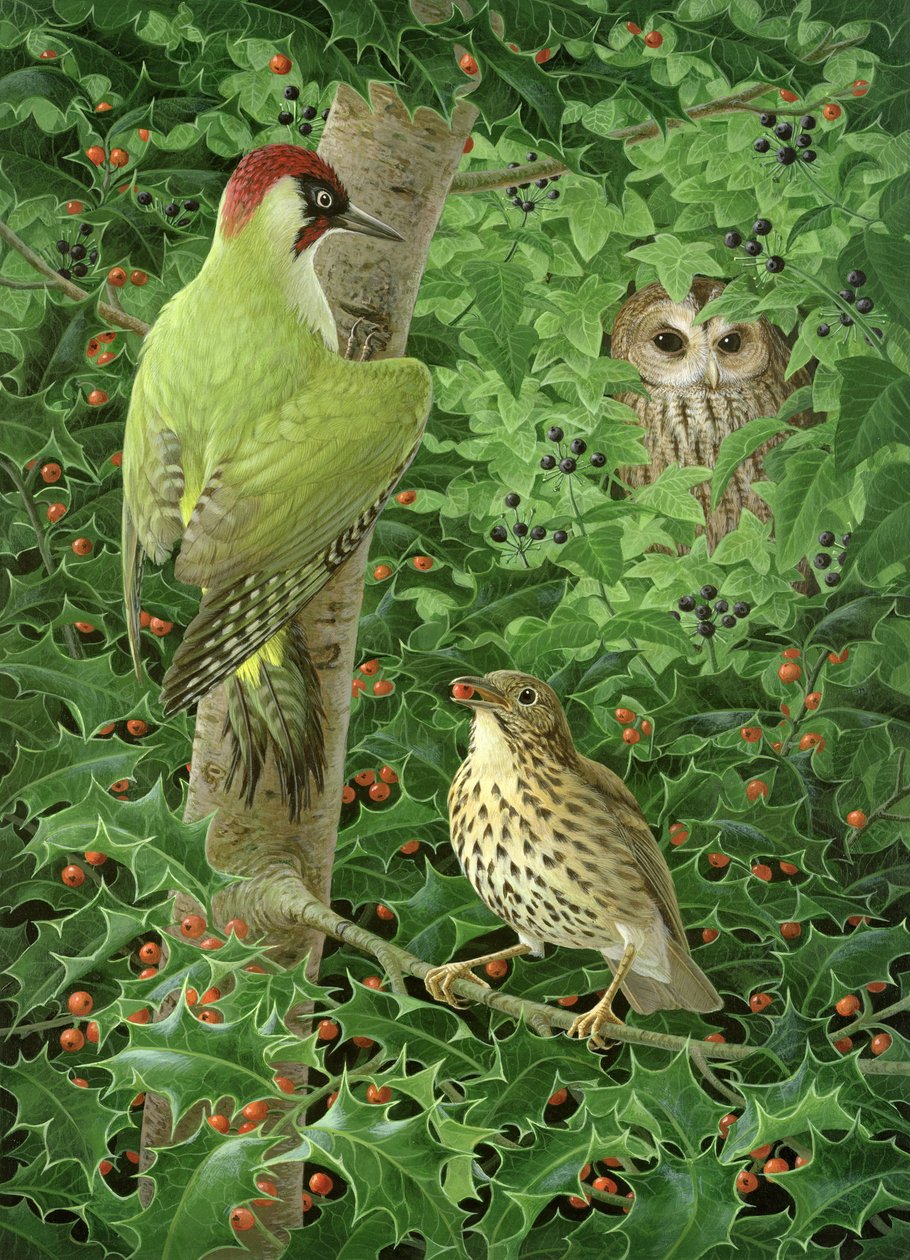 Pájaro carpintero, Búho y Zorzal de Birgitte Hendil