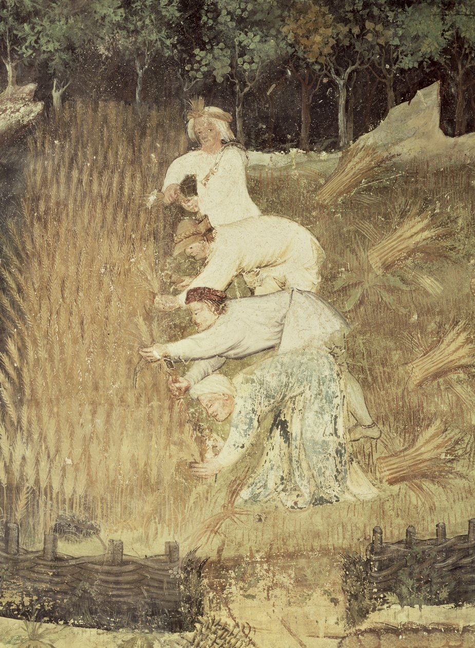 El mes de agosto, detalle de la cosecha, c.1400 de Bohemian School
