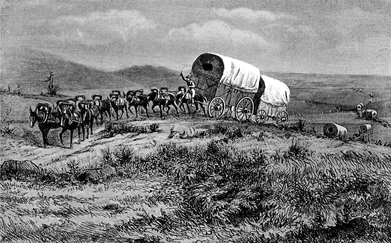 Oeste salvaje - tren de mulas hacia el oeste de Bohuslav Kroupa