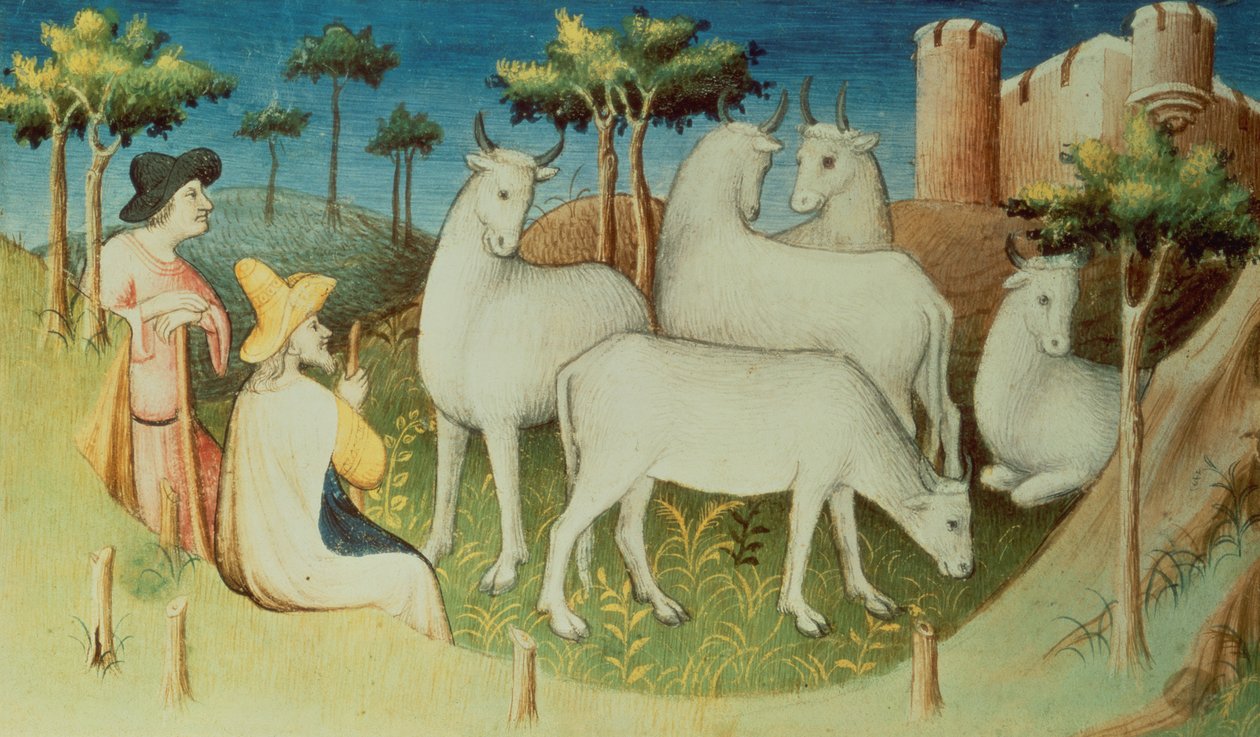 Ms Fr 2810 f.13v, Marco Polo en sus viajes, del 