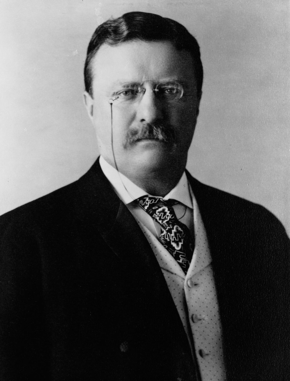Theodore Roosevelt, c.1904 de Brothers Pach