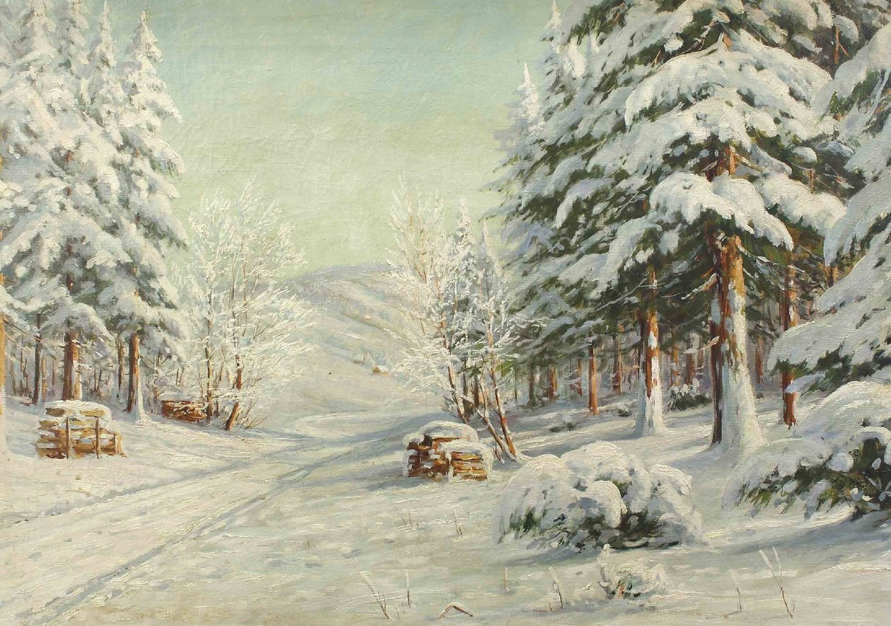 Paisaje invernal de Bruno Moras