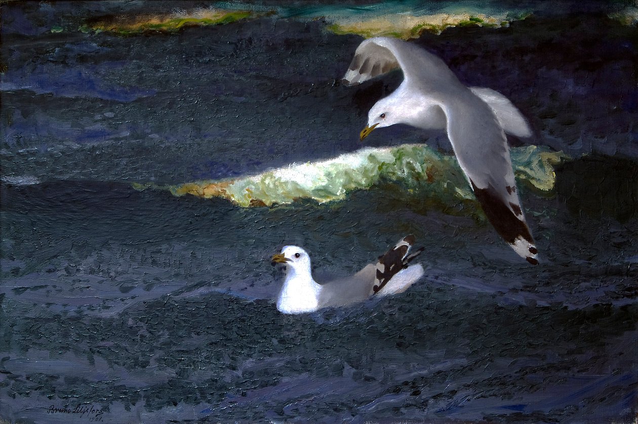 Gaviotas de Bruno Andreas Liljefors