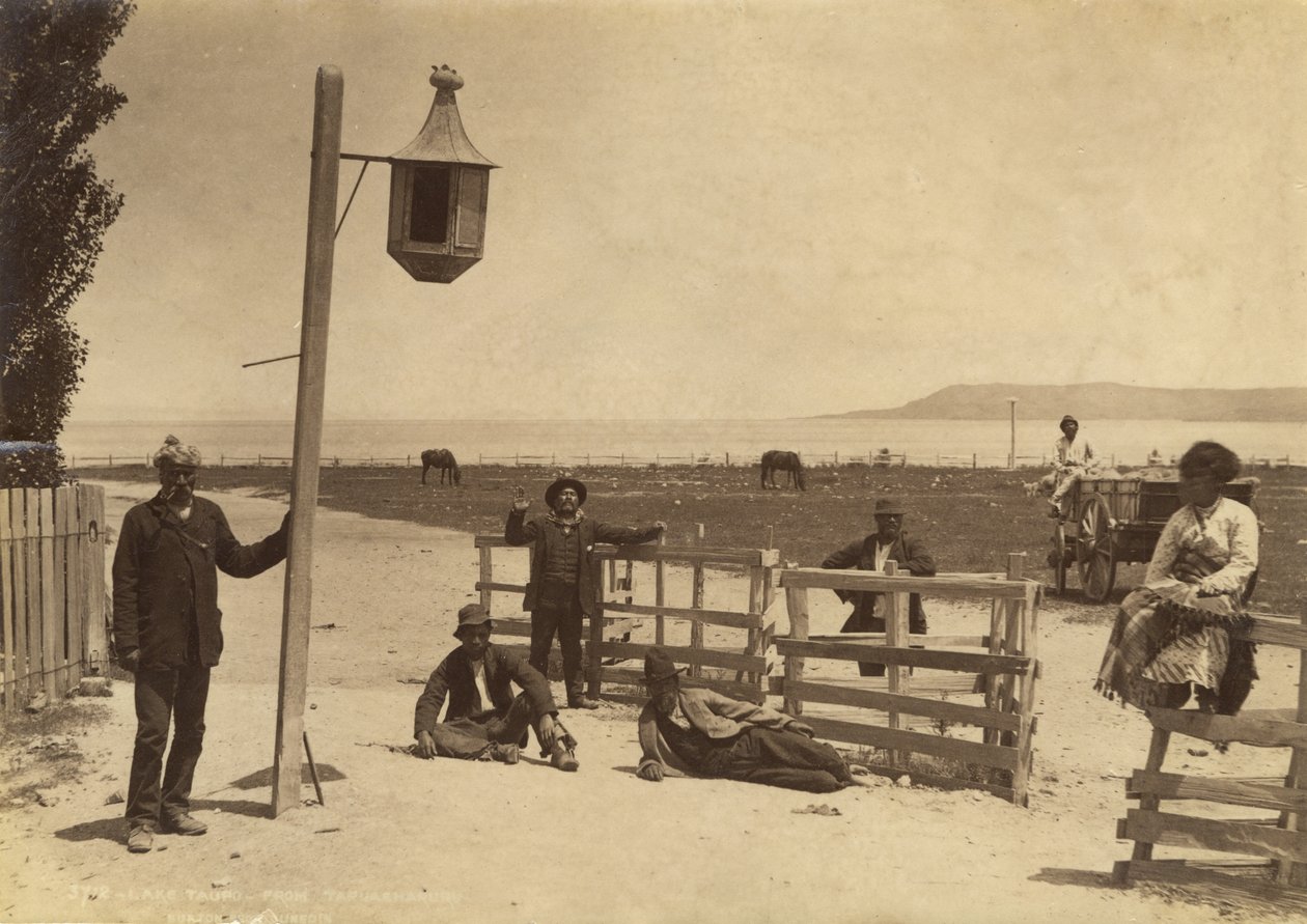 Lago Taupo - desde Tapuaharuru, c.1886 de Burton Brothers Studio