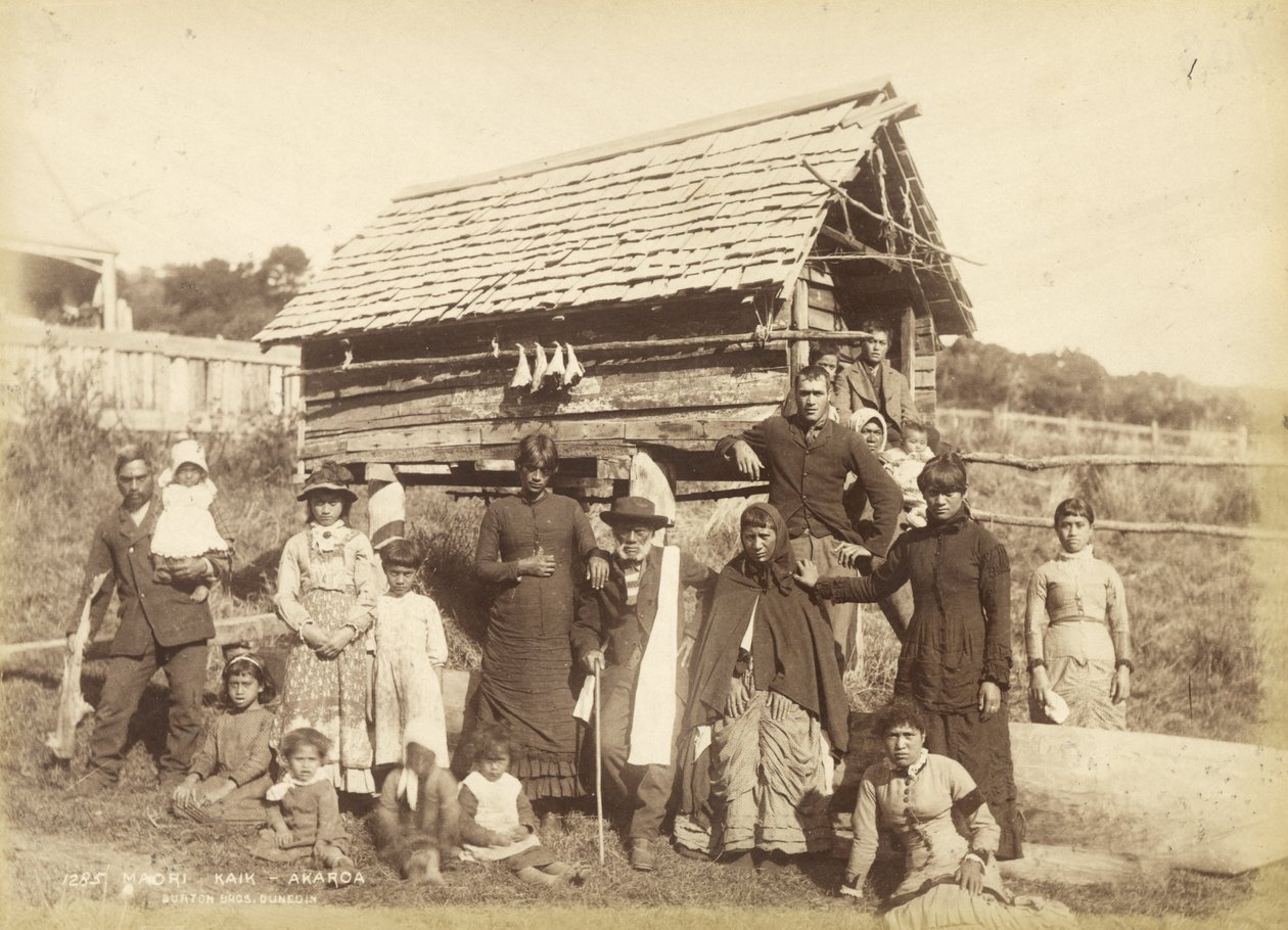 Maori Kaik - Akoroa, c.1884 de Burton Brothers Studio