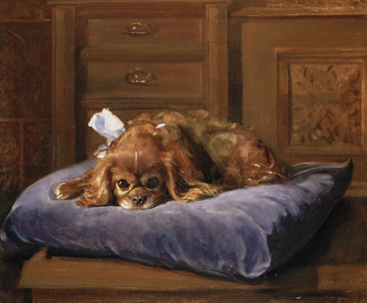 Spaniel del Rey Carlos de C. Fulton