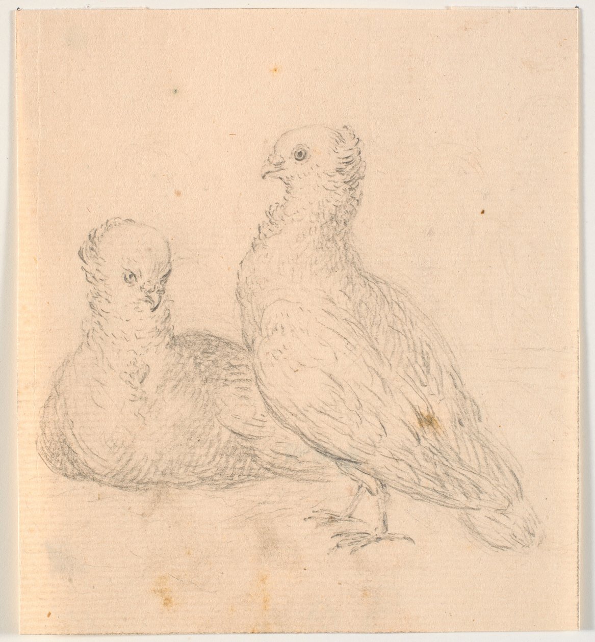 Dos palomas de C.A. Lorentzen