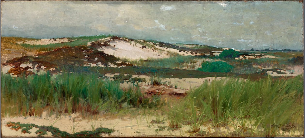 Duna de arena de Nantucket de C. Morgan McIlhenney
