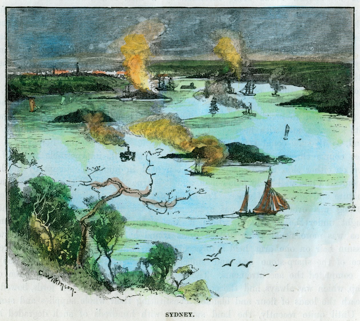 Sídney, Nueva Gales del Sur, Australia, c1885 de C. Wilkinson