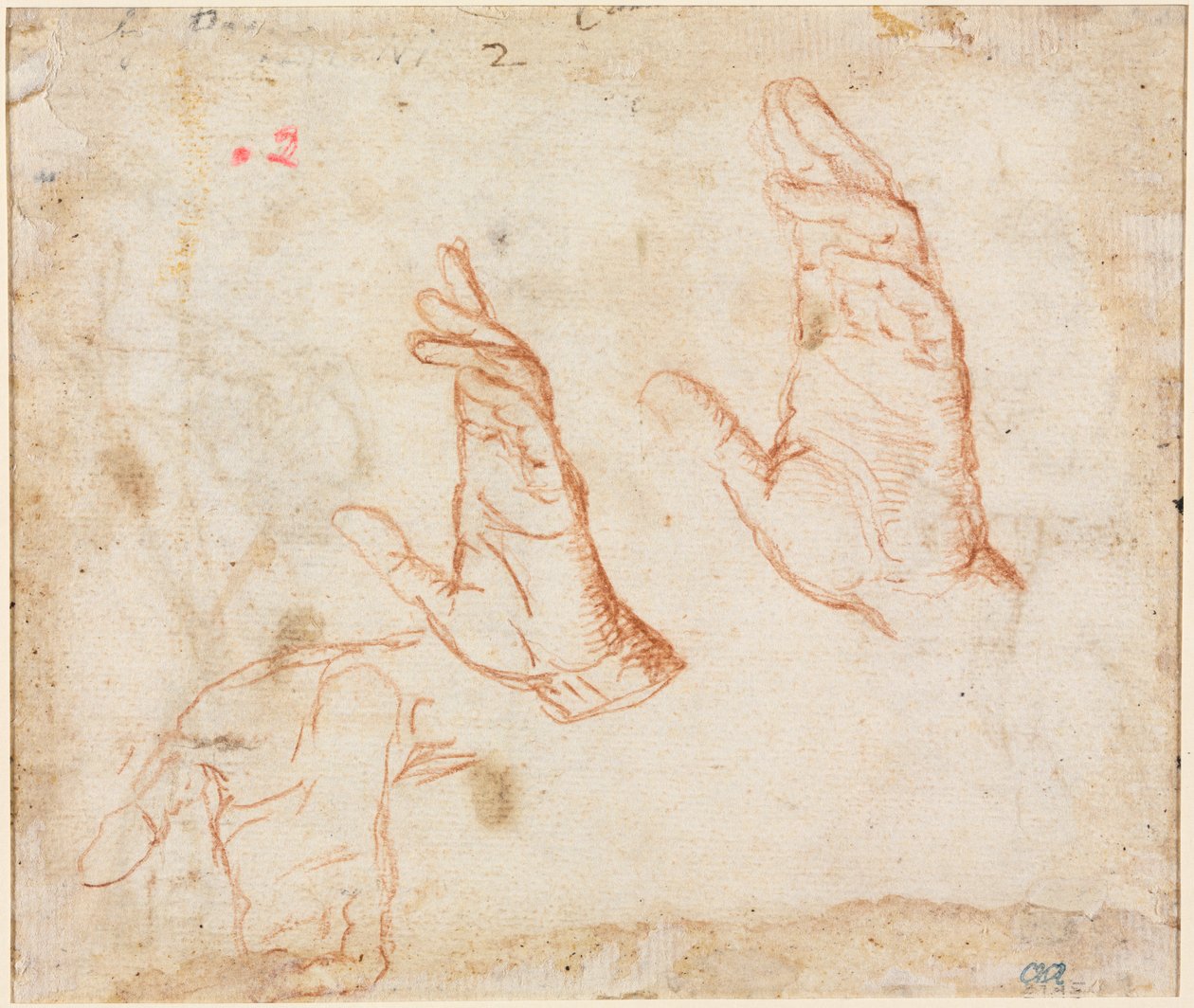 Study of Hands (verso) de Camillo Procaccini