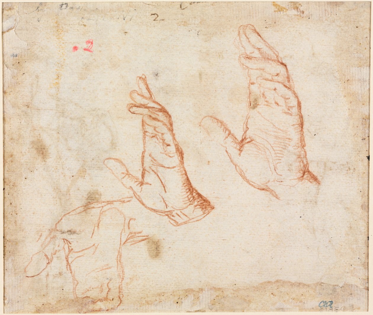 Estudio de manos verso, c. 1590 de Camillo Procaccini